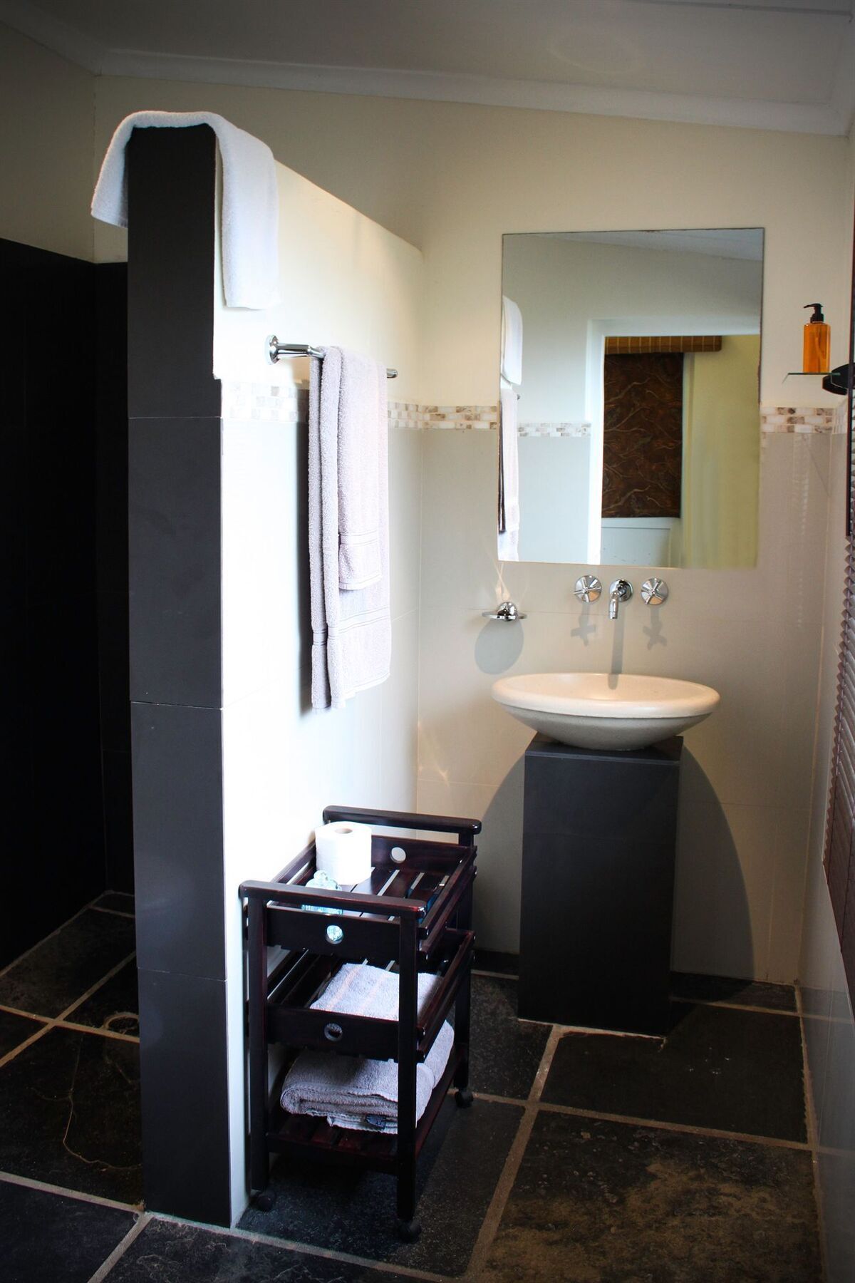 Somerset Villa Guesthouse サマーセット・ウェスト エクステリア 写真