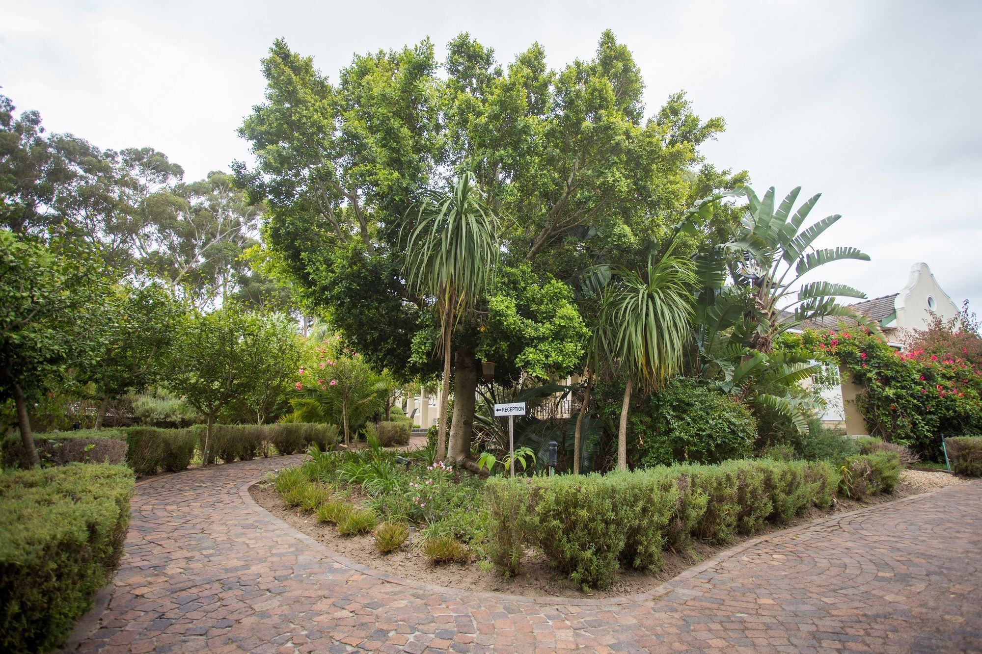 Somerset Villa Guesthouse サマーセット・ウェスト エクステリア 写真